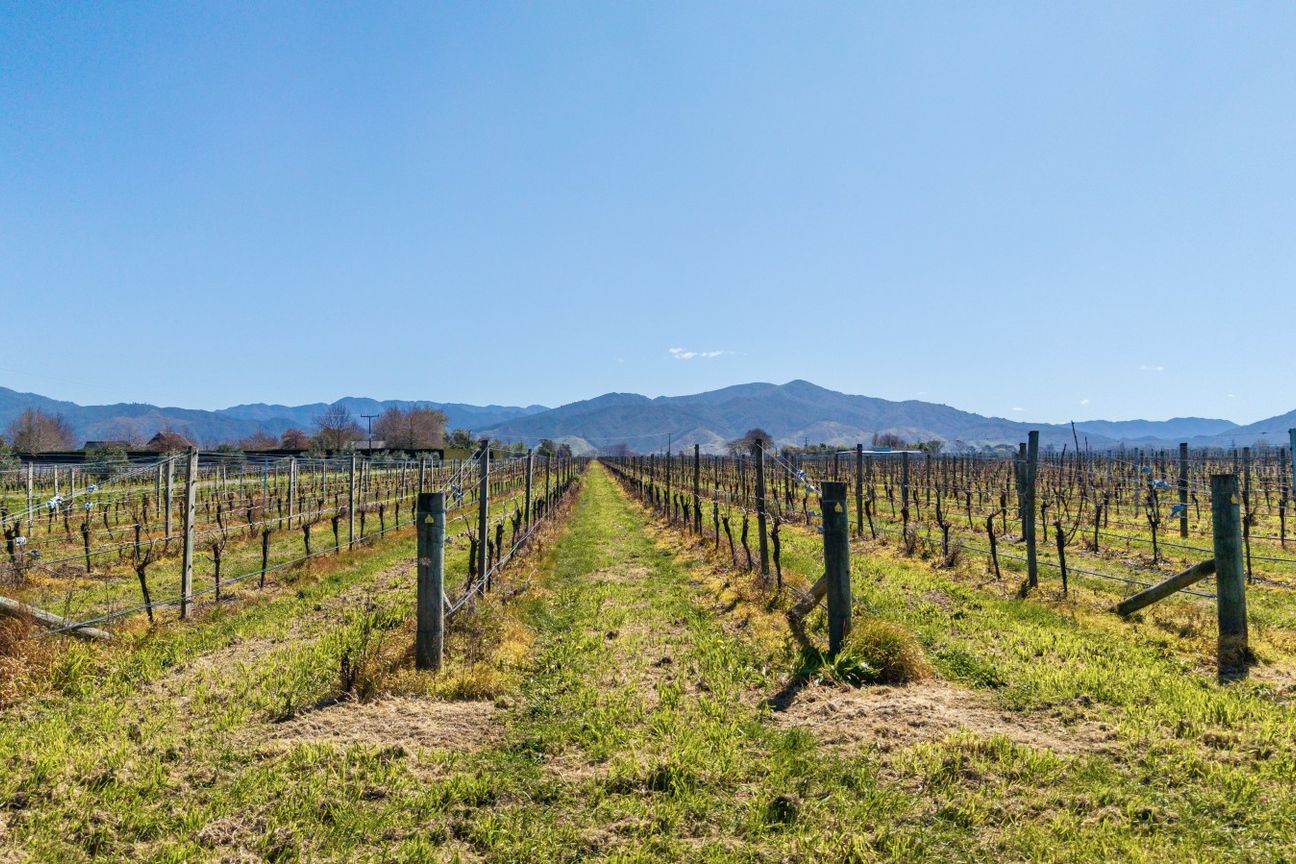 Highly sought after with three year grape supply - Więcej