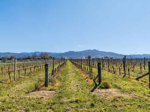  Mills and Ford Road East, Grovetown