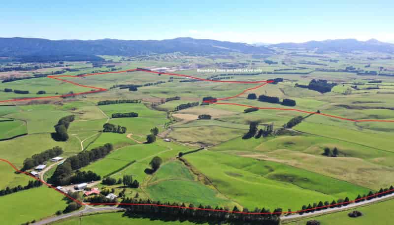 1550 Waimumu Road, Te Tipua