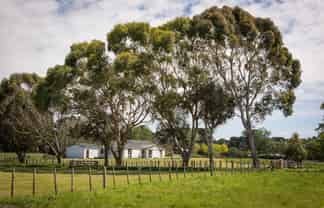 450 Foxton Shannon Road, Foxton