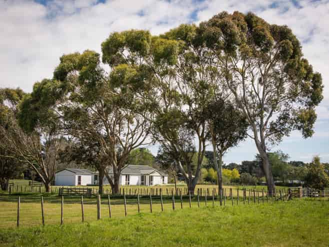 450 Foxton Shannon Road, Foxton
