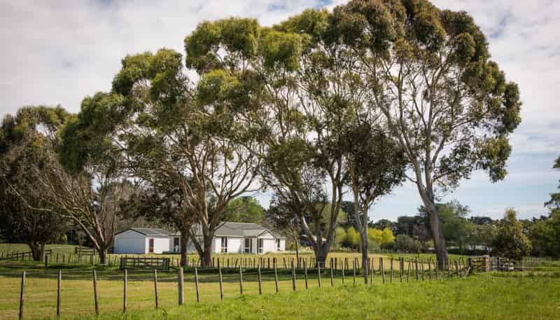 450 Foxton Shannon Road, Foxton
