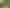471 Razorback Road, Pokeno