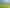 471 Razorback Road, Pokeno