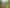 471 Razorback Road, Pokeno
