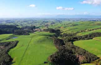 613 Waterworks Road, Morrinsville