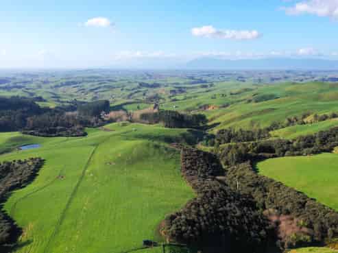 613 Waterworks Road, Morrinsville