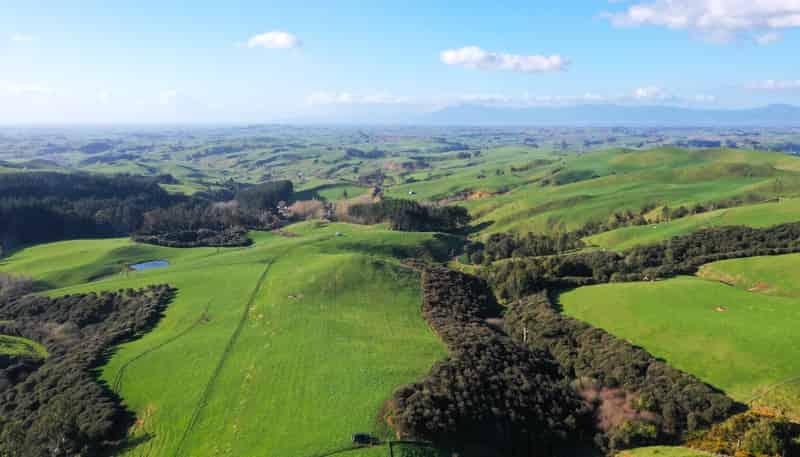 613 Waterworks Road, Morrinsville