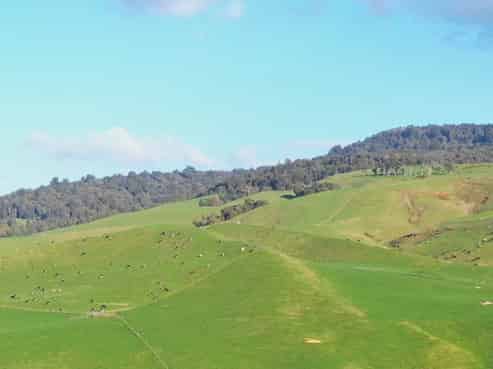 613 Waterworks Road, Morrinsville