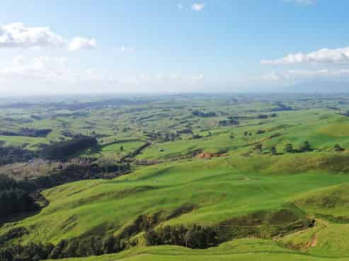 613 Waterworks Road, Morrinsville