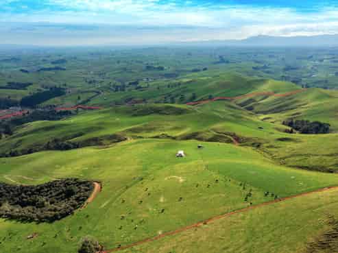 613 Waterworks Road, Morrinsville