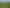 288 Dimmock Road, Maramarua
