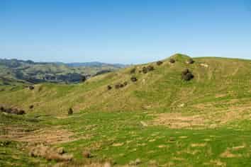  Te Wera Forest, Carterton