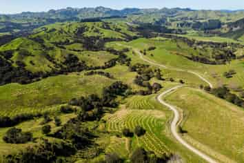  Te Wera Forest, Carterton