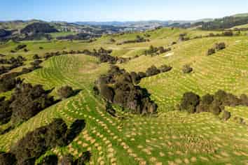  Te Wera Forest, Carterton