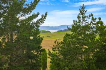 184 Monarch Downs Way, Matakana