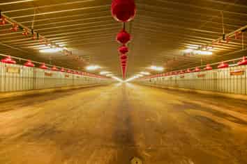 Poultry Operation & Industrial Land