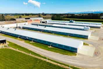 Poultry Operation & Industrial Land