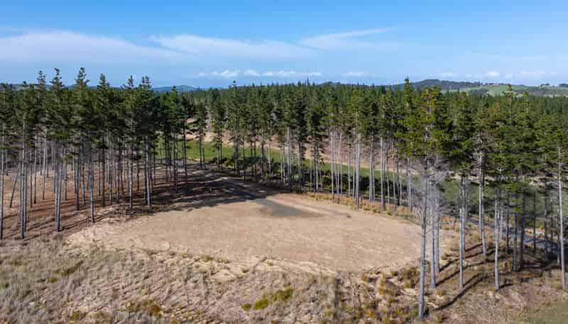 Lot 21/20 Te Ara O Kiri Patuparaoa Anake, Te Arai