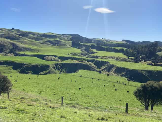 48 Heathfield Road, Greta Valley