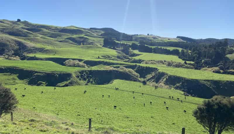 48 Heathfield Road, Greta Valley
