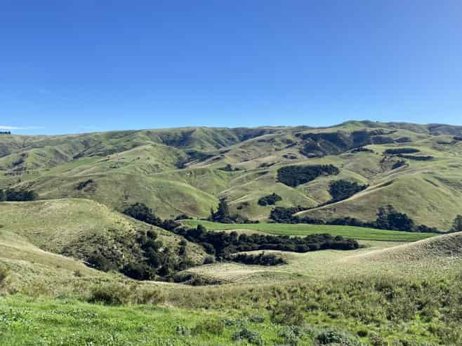 48 Heathfield Road, Greta Valley