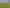 60 Audax Lane, Pyes Pa