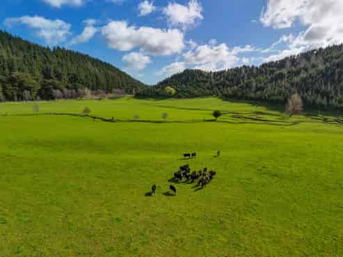 1584 Brunswick Road, Kai Iwi