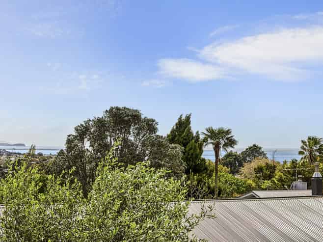 115 Matipo Road, Mairangi Bay