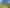 Bay of Plenty - Address withheld
