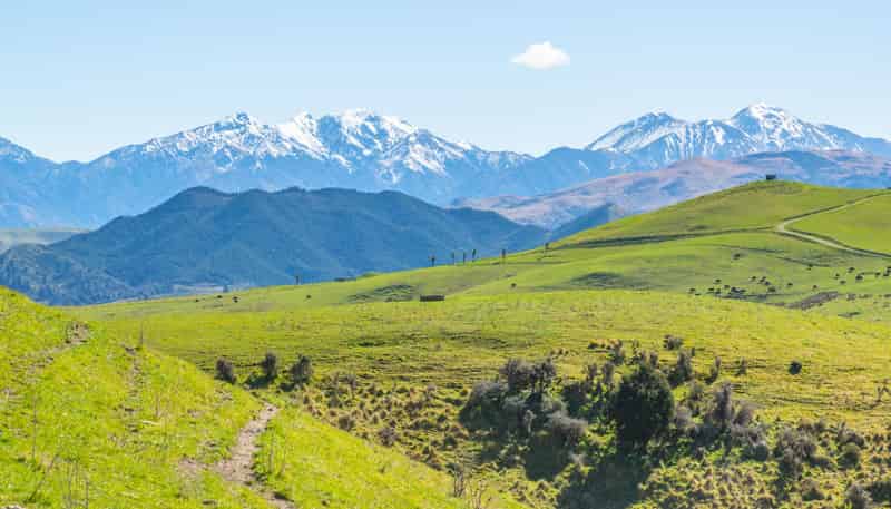 1246 Leader Road West, Waiau
