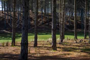 Lot 23/16 Te Ara O Kiri Patuparaoa Anake, Te Arai