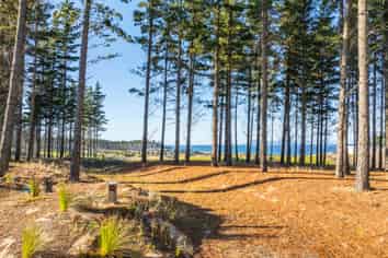 Lot 23/16 Te Ara O Kiri Patuparaoa Anake, Te Arai