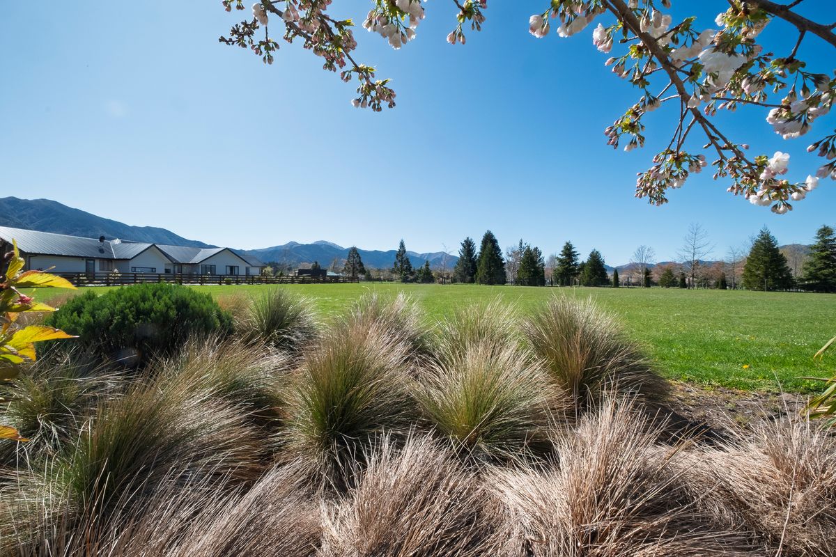Something Special - Ansicht 6