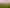 901 Tauwhare Road, Tauwhare