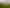 901 Tauwhare Road, Tauwhare