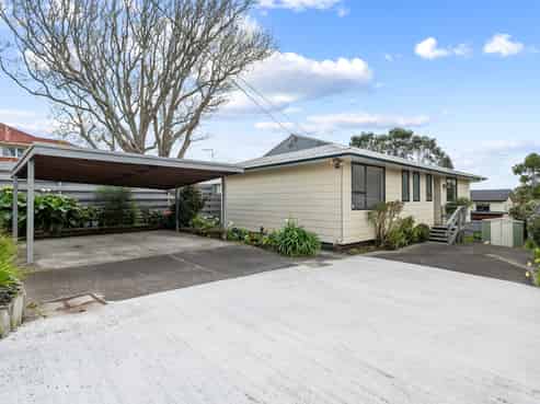 501B Hillsborough Road, Mount Roskill