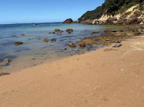 554 Boat Harbour Road, Whenuakite