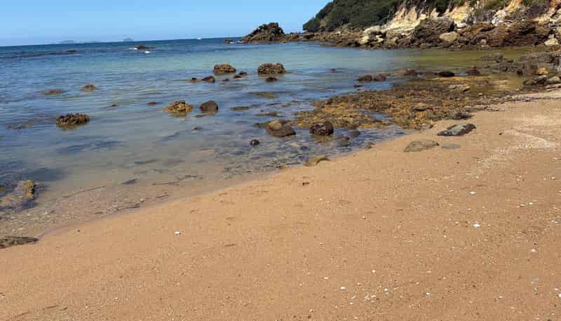 554 Boat Harbour Road, Whenuakite