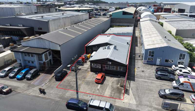 133 Captain Springs Road, Onehunga
