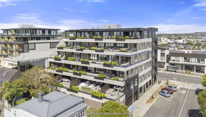 303/393 Great North Road, Grey Lynn
