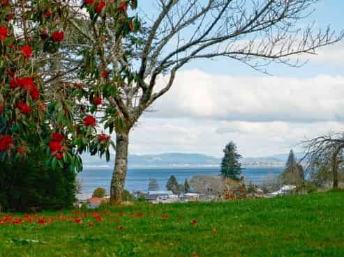 42 Fryer Road, Hamurana