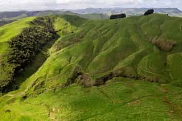  Merlo Forest, Eketahuna