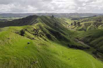  Merlo Forest, Eketahuna
