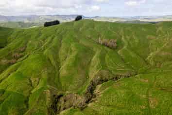  Merlo Forest, Eketahuna