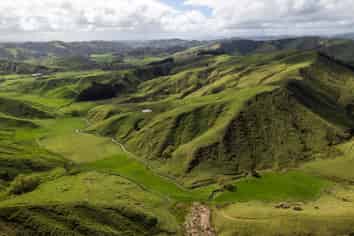  Merlo Forest, Eketahuna