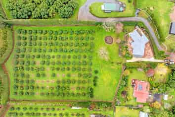 78 Lockington Road, Aongatete