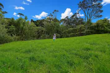 5 A, B, C Chatham Avenue, Paremoremo