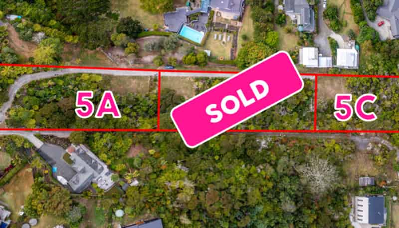 5 A, B, C Chatham Avenue, Paremoremo