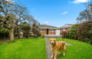 40 Chestnut Road, Papatoetoe